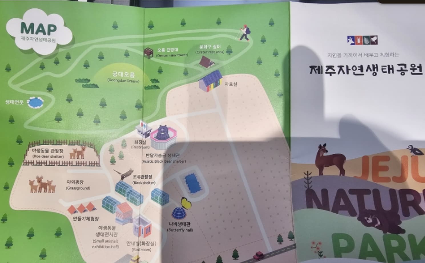 美しい自然と野生動物が共生する「キョウダイオルム」の魅力
